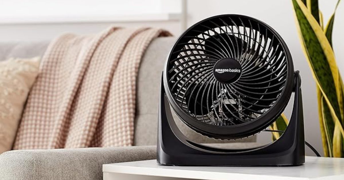les-5-meilleurs-ventilateurs-2024-nos-recos