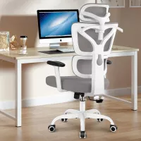 Chaise de bureau winrise