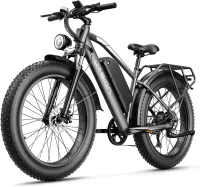 Vélo électrique Jasion EB5 MAX