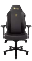 Chaise de gaming TITAN Evo de Secretlab