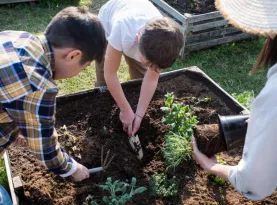 Photo de profil Economiser jardinnage