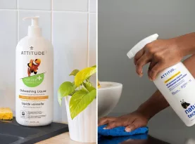 Photo de profil Vente secrete attitude