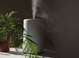 Photo de profil Meilleur humidificateur 2025