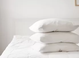 Photo de profil Meilleurs oreillers 2026