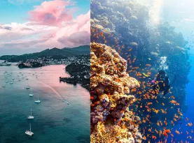 Photo de profil Meilleurs tout inclus plongee sous marine