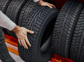 Photo de profil Meilleur pneu 4 saisons