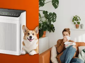 Photo de profil Purificateur air evalit new