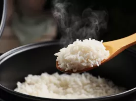 Photo de profil Meilleur cuiseur a riz 2026