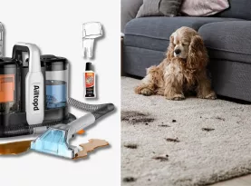 Photo de profil Nettoyeur ailltopd tapis