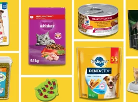 Photo de profil Spring deals animaux