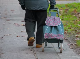 Photo de profil Chariot epicerie