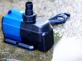 Photo de profil Meilleure pompe puisard 2026