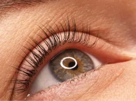 Photo de profil Meilleur serum cils