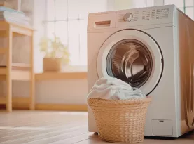 Photo de profil Savon linge 27 avril 2026