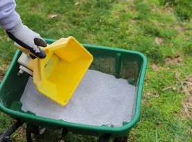 Photo de profil Meilleurs engrais gazon 2026