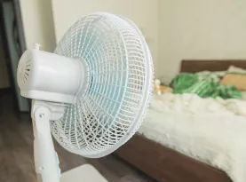 Photo de profil Meilleur ventilateur 2026