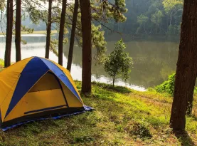 Photo de profil Essentiels virees camping 2026