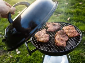 Photo de profil Meilleur bbq portatif