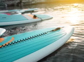 Photo de profil Paddleboard rabais