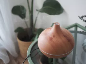 Photo de profil Meilleur diffuseur huile essentielles