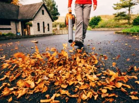 Photo de profil Meilleur souffleur feuilles nosrecos