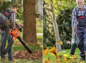Photo de profil Souffleur feuille automne aubaines