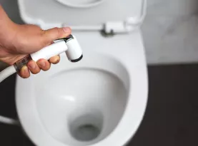 Photo de profil Meilleur bidet