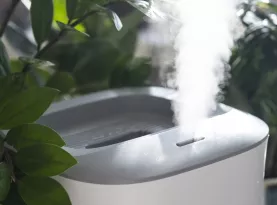 Photo de profil Meilleur humidificateur 2027