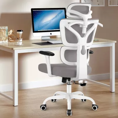 Chaise de bureau winrise