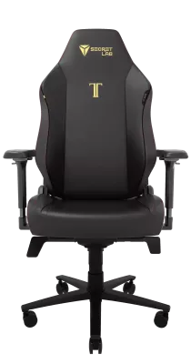 Chaise de gaming TITAN Evo de Secretlab