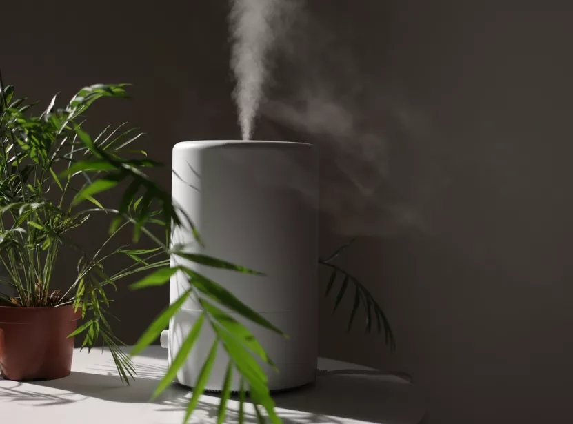 Photo de profil Meilleur humidificateur 2025