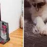 Rabais sur l'aspirateur sans fil Shark Pet Pro