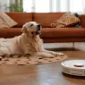 Robot aspirateur dans un salon