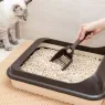 Les 5 meilleurs bacs à litière pour chat