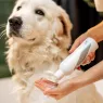 Les 5 meilleurs shampoings pour chien (2026)