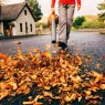 meilleur souffleur à feuilles