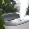 meilleurs humidificateurs