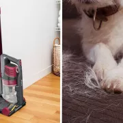Le meilleur aspirateur pour les poils d’animaux vient de tomber en rabais
