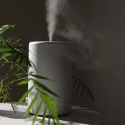 Les 4 meilleurs humidificateurs (2025)