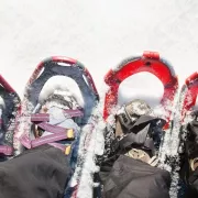 Les 5 meilleures raquettes à neige (2026)