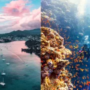 Les 10 meilleurs tout inclus pour la plongée en apnée (2026)