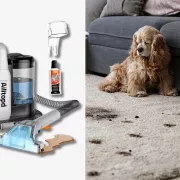 Nettoyeur de tapis portable Ailltopd : efficace sur les taches tenaces, maintenant à 75 % de rabais
