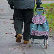 Les 5 meilleurs chariots de magasinage (2026)