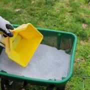 Les 5 meilleurs engrais pour gazon au printemps (2026)