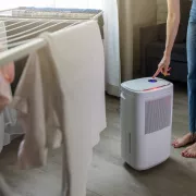 Les 4 meilleurs déshumidificateurs (2026)
