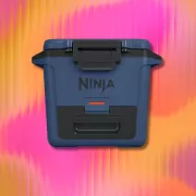 Cette glacière Ninja à -18 % garde votre pain hors de la glace