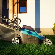 Les 5 meilleures tondeuses à batterie (2026)