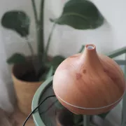 Les 5 meilleurs diffuseurs d’huiles essentielles (2026)