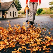 Les 5 meilleurs souffleurs à feuilles (2026)