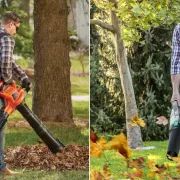 Nettoyage d'automne : jusqu'à -26% sur les souffleurs à feuilles